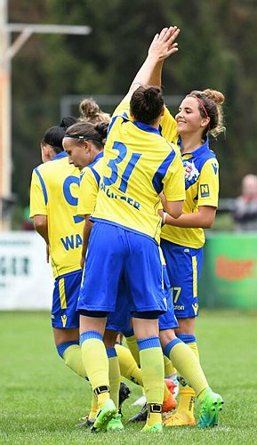 SKN St. Poelten _FC Suedburgenland