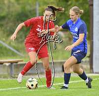 06.10.2024<br>SV Paudorf - FSG Traiskirchen<br>2:0 (2:0)<br><br>