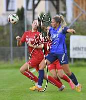 06.10.2024<br>SV Paudorf - FSG Traiskirchen<br>2:0 (2:0)<br><br>