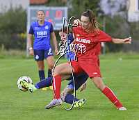 06.10.2024<br>SV Paudorf - FSG Traiskirchen<br>2:0 (2:0)<br><br>