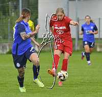 06.10.2024<br>SV Paudorf - FSG Traiskirchen<br>2:0 (2:0)<br><br>