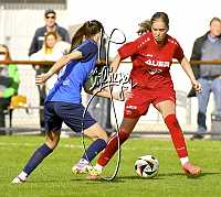06.10.2024<br>SV Paudorf - FSG Traiskirchen<br>2:0 (2:0)<br><br>