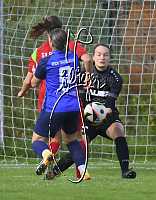 06.10.2024<br>SV Paudorf - FSG Traiskirchen<br>2:0 (2:0)<br><br>