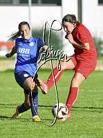 06.10.2024<br>SV Paudorf - FSG Traiskirchen<br>2:0 (2:0)<br><br>