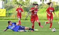 06.10.2024<br>SV Paudorf - FSG Traiskirchen<br>2:0 (2:0)<br><br>