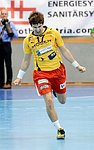 26.10.2012, Krems, Handball, Handball Liga Austria, HLA, GD, UHK Krems - Fivers WAT Margareten,<br>SCHOPF Tobias<br><br>Copyright DIENER / Zierlinger Karl<br>Marktgasse 3-7 / 4 / 5 / 21<br>A-1090 Wien<br>Telefax +43 1 955 32 35<br>Mobil +43 676 629 98 51<br>BA-CA<br>Bank Nr. 12000<br>Account Nr. 00712 223 783<br>e-mail: agentur@diener.at<br>Datenbank: www.diener.at