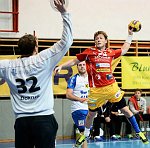 14.12.2013, Krems, Handball, Handball Liga Austria, HLA, GD, UHK Krems, HC Hard,<br>DOKNIC Bolub, VISY Norbert<br><br><br>Copyright DIENER / Zierlinger Karl<br>Marktgasse 3-7 / 4 / 5 / 21<br>A-1090 Wien<br>Telefax +43 1 955 32 35<br>Mobil +43 676 629 98 51<br>BA-CA<br>Bank Nr. 12000<br>Account Nr. 00712 223 783<br>e-mail: agentur@diener.at<br>Datenbank: www.diener.at