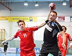 08.01.2015, Krems, Handball, Laenderspiel, Nationalteam, Testspiel, Oesterreich, Schweiz<br>SIDOROWICZ Roman, ZIURA Vytautas<br><br><br>Copyright DIENER / Zierlinger<br>Marktgasse 3-7 / 4 / 5 / 21<br>A-1090 Wien<br>Telefax +43 1 955 32 35<br>Mobil +43 676 629 98 51<br>BA-CA<br>Bank Nr. 12000<br>Account Nr. 00712 223 783<br>e-mail: agentur@diener.at<br>Datenbank: www.diener.at