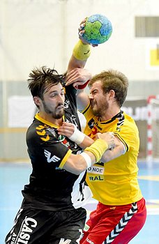 2453_Mayer