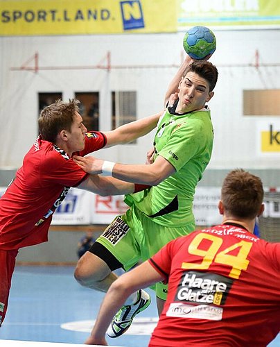 1239_Hermann