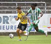 16.07.2025<br>SG Kremser SC/Rehberg KM I - SK Rapid II<br>0:2 (0:0)<br>