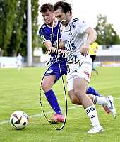 06.06.2025<br>SG Kremser SC/Rehberg KM I -SV Gloggnitz<br>3:3 (2:0)<br>