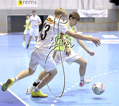 D8A_5271_Hofbräu am Steinertor