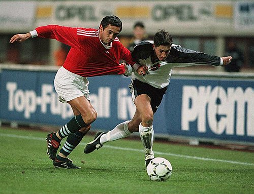 0003_Amerhauser - Feher