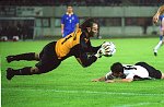 2001.09.05<br>�sterreich - Bosnien/2:0(1:0)<br>FL�GEL Thomas<br>PIPLICA Tomislav