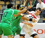 20.12.2011, Krems, Handball, Laenderspiel, Nationalteam, Testspiel, Oesterreich, Algerien<br>BERRIAH Abderrahim, CHEHBOUR Rahid, KOLAR Markus<br><br><br>Copyright DIENER / Zierlinger Karl<br>Marktgasse 3-7 / 4 / 5 / 21<br>A-1090 Wien<br>Telefax +43 1 955 32 35<br>Mobil +43 676 629 98 51<br>BA-CA<br>Bank Nr. 12000<br>Account Nr. 00712 223 783<br>e-mail: agentur@diener.at<br>Datenbank: www.diener.at