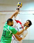 20.12.2011, Krems, Handball, Laenderspiel, Nationalteam, Testspiel, Oesterreich, Algerien<br>HADJAIDJI Abdelatif, SCHMID Dominik<br><br><br>Copyright DIENER / Zierlinger Karl<br>Marktgasse 3-7 / 4 / 5 / 21<br>A-1090 Wien<br>Telefax +43 1 955 32 35<br>Mobil +43 676 629 98 51<br>BA-CA<br>Bank Nr. 12000<br>Account Nr. 00712 223 783<br>e-mail: agentur@diener.at<br>Datenbank: www.diener.at