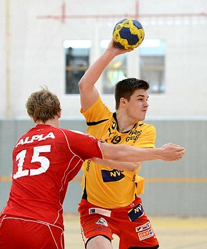 Salfinger184