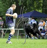 Rugby Krems, Ausportplatz<br>