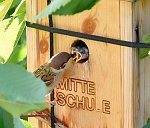 17.07.2023 und 18.07.2023<br><br><br><br>Copyright / www. sportfotos. at<br>Missongasse 21<br>A - 3500 Krems<br>zierlinger@sportfotos.at<br>www.sportfotos.at<br>Kremser Bank <br>BIC SPKDAT21XXX<br>IBAN AT392022800704000918<br>