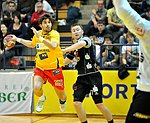 13.11.2011<br>UHK Krems - ULZ Schwaz/34:26 (15:14)<br>SCHOPF Tobias, TORBICA Milan<br>