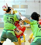 30.12.2011, Krems, Handball, Handball Liga Austria, HLA, UHK Krems, SG Westwien<br>STRAZDAS Augustas, SCHOPF Tobias, MARTINEZ Patricio Andres<br><br><br>Copyright DIENER / Zierlinger Karl<br>Marktgasse 3-7 / 4 / 5 / 21<br>A-1090 Wien<br>Telefax +43 1 955 32 35<br>Mobil +43 676 629 98 51<br>BA-CA<br>Bank Nr. 12000<br>Account Nr. 00712 223 783<br>e-mail: agentur@diener.at<br>Datenbank: www.diener.at