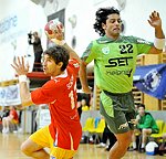 30.12.2011, Krems, Handball, Handball Liga Austria, HLA, UHK Krems, SG Westwien<br>SCHOPF Tobias, MARTINEZ Patricio Andres<br><br><br>Copyright DIENER / Zierlinger Karl<br>Marktgasse 3-7 / 4 / 5 / 21<br>A-1090 Wien<br>Telefax +43 1 955 32 35<br>Mobil +43 676 629 98 51<br>BA-CA<br>Bank Nr. 12000<br>Account Nr. 00712 223 783<br>e-mail: agentur@diener.at<br>Datenbank: www.diener.at