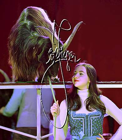 6_2145_Alex KAISER, Weihnachtszirkus