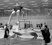 14.02.2026<br>Schauturnen 2026<br><br>Copyright sportfotos.at / Zierlinger Karl 